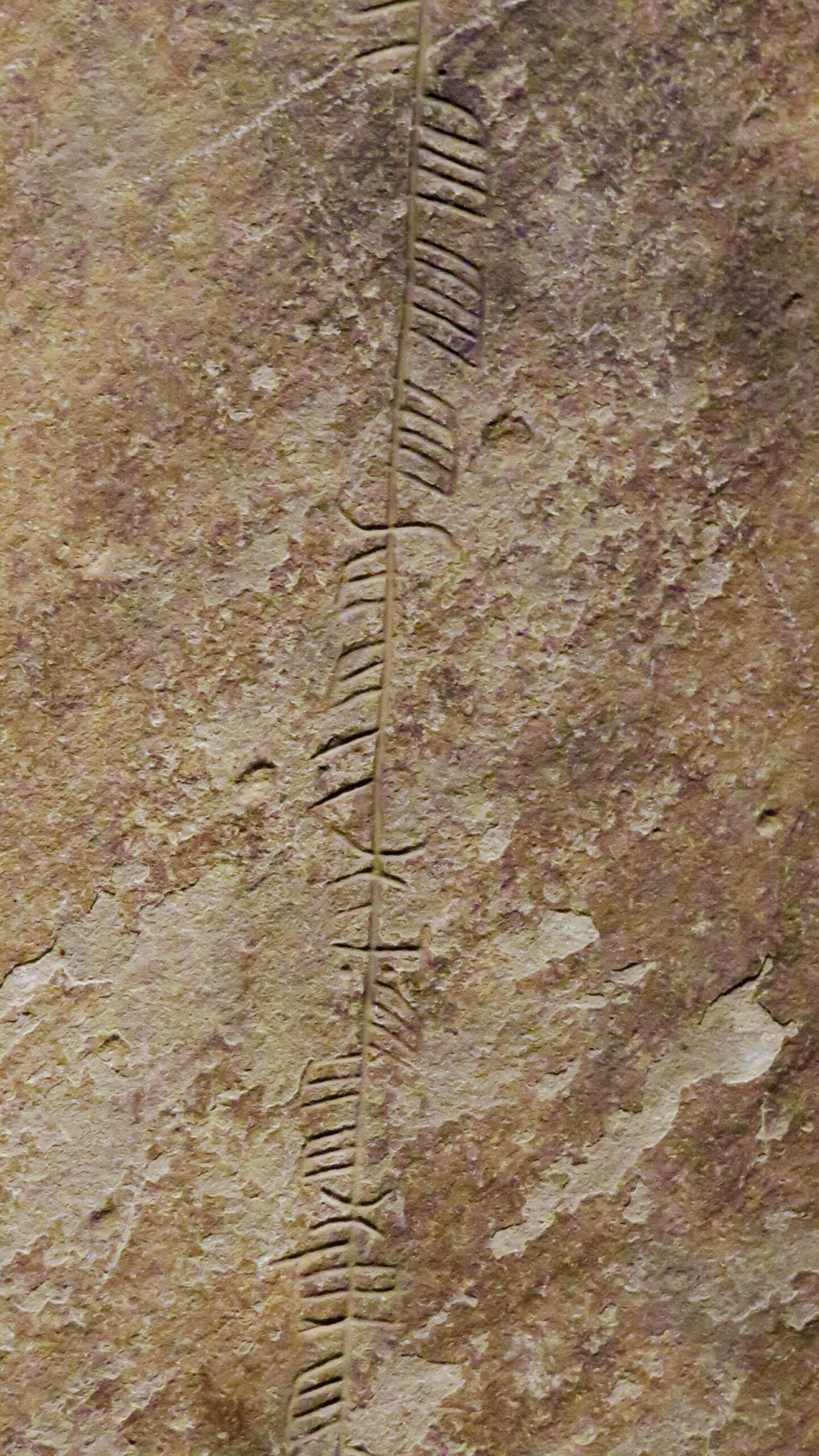 Inscrição rúnica em pedra no Museu Nacional da Escócia